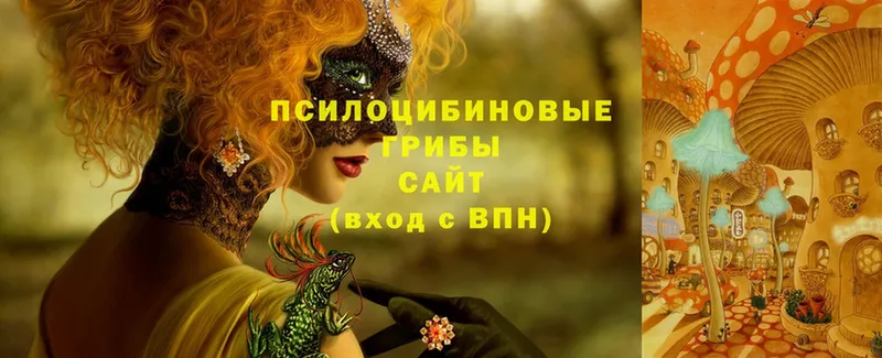 Псилоцибиновые грибы Magic Shrooms  Лысьва 